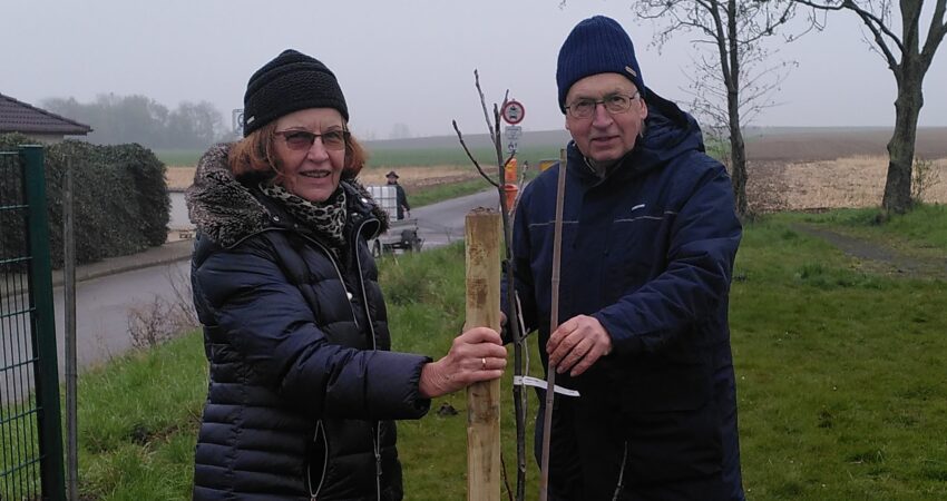 Eva Pletz und Lutz Loebel pflanzen einen Baum